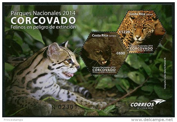 Costa Rica (2014) - Block -  /  Endangered Wild Cats - Katzen - Wild Cat - Panthera - Puma - Leopard - Roofkatten