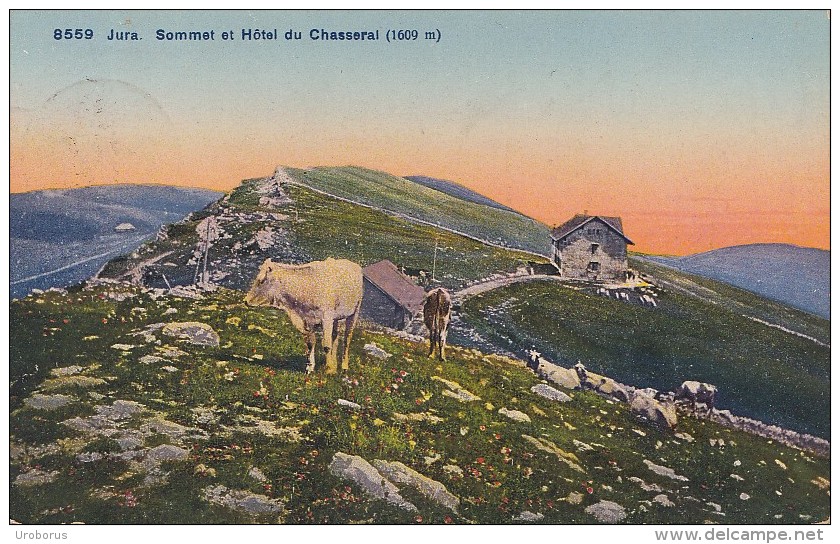 SWITZERLAND - Jura 1922 - Sommet Et Hotel Du Chasseral - Otros & Sin Clasificación