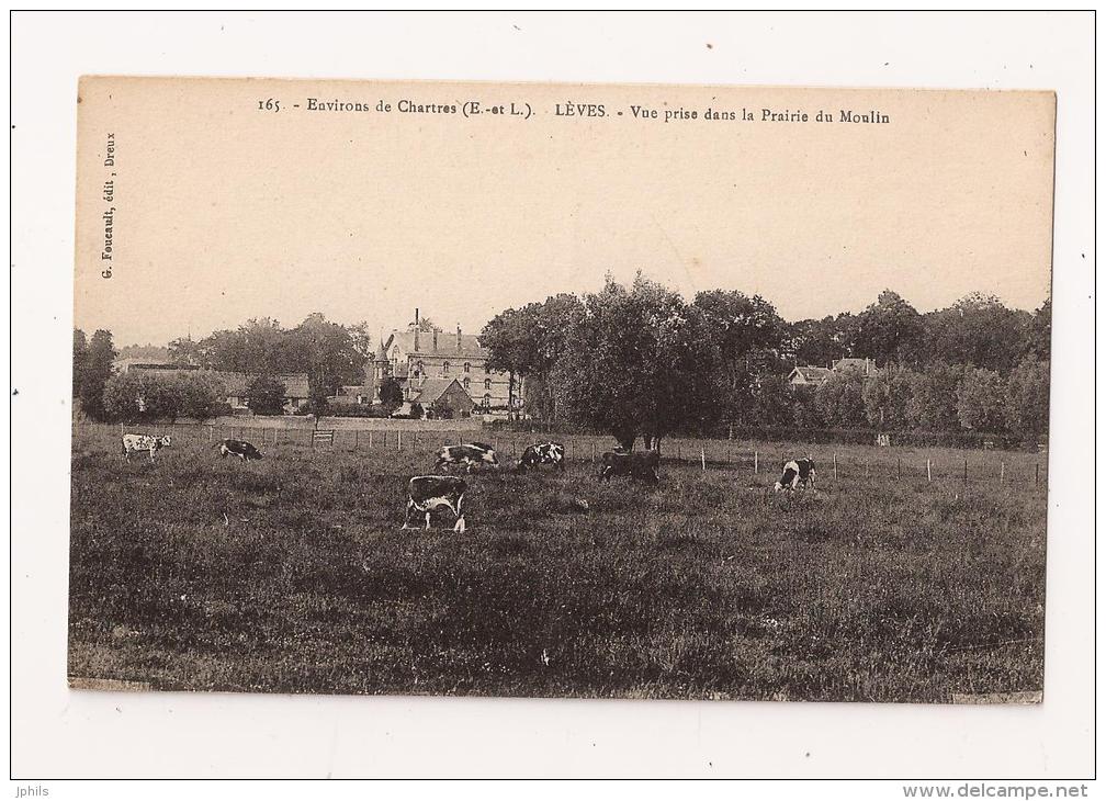 ( 28 ) LEVES Vue Prise Dans La Prairie Du Moulin - Lèves