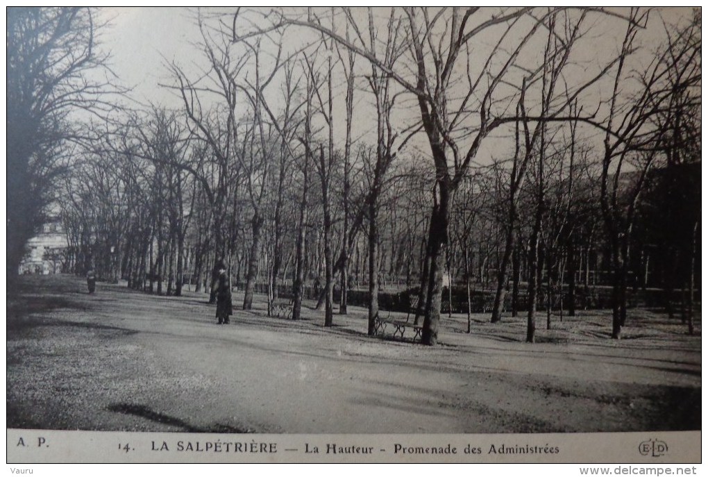 75 PARIS LA SALPETRIERE LA HAUTEUR LA PROMENADE DES ADMINISTREES   N° 14 - Arrondissement: 13