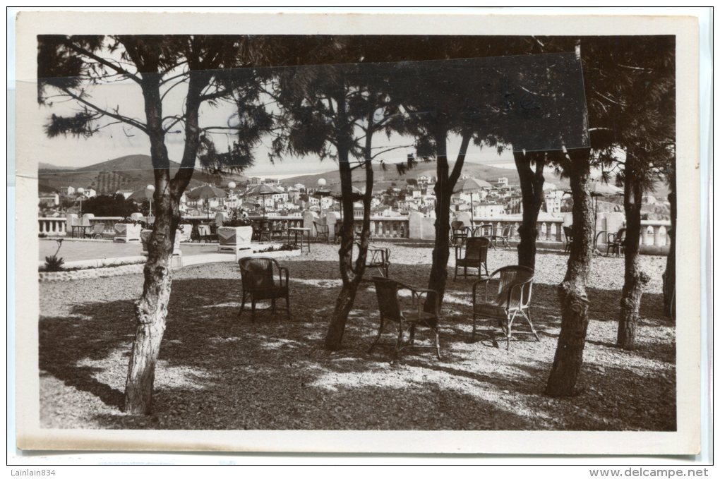 - 37 - Banyuls-su-Mer - ( Pyr. Or. ), Bois De Pins De La Terrasse Du Miramar, Non écrite, TBE, Scans. - Banyuls Sur Mer