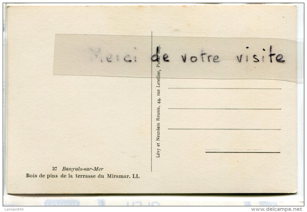 - 37 - Banyuls-su-Mer - ( Pyr. Or. ), Bois De Pins De La Terrasse Du Miramar, Non écrite, TBE, Scans. - Banyuls Sur Mer