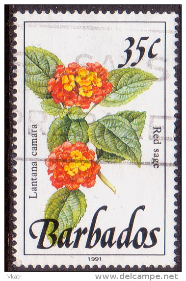 BARBADOS 1991 SG #895a 35c VF Used Wild Plants Imprint 1991 - Barbados (1966-...)