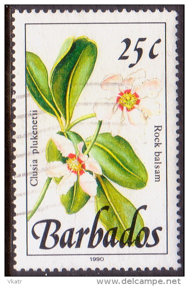 BARBADOS 1990 SG #925 25c VF Used Wild Plants Imprint 1990 - Barbados (1966-...)