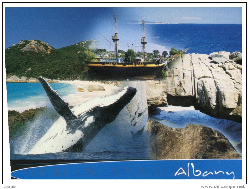 (414 PF) Australia - WA - Albany And Whale - Albany