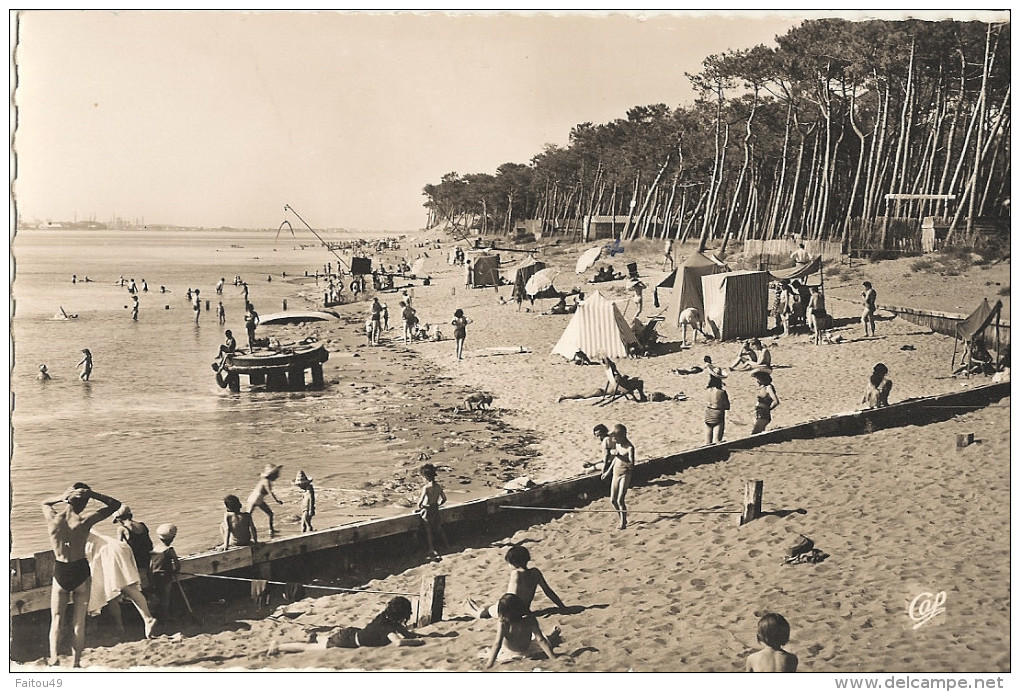 Cpsm Pf  -  44 ST BRÉVIN LES PINS  - La Plage Et Les Pins       252 - Saint-Brevin-les-Pins