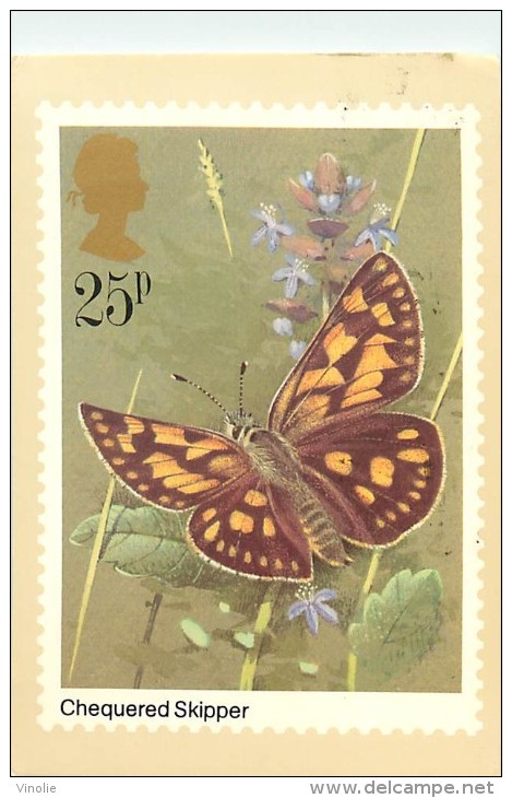 Réf : B-15-297 : PAPILLON CHEQUERED SKIPPER - Papillons