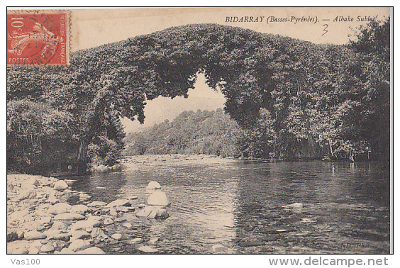 CPA BIDARRAY- RIVER, TREE ARCH - Bidarray