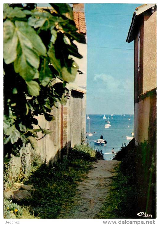 NOIRMOUTIER      LE VIEL     VIEILLE RUELLE - Ile De Noirmoutier