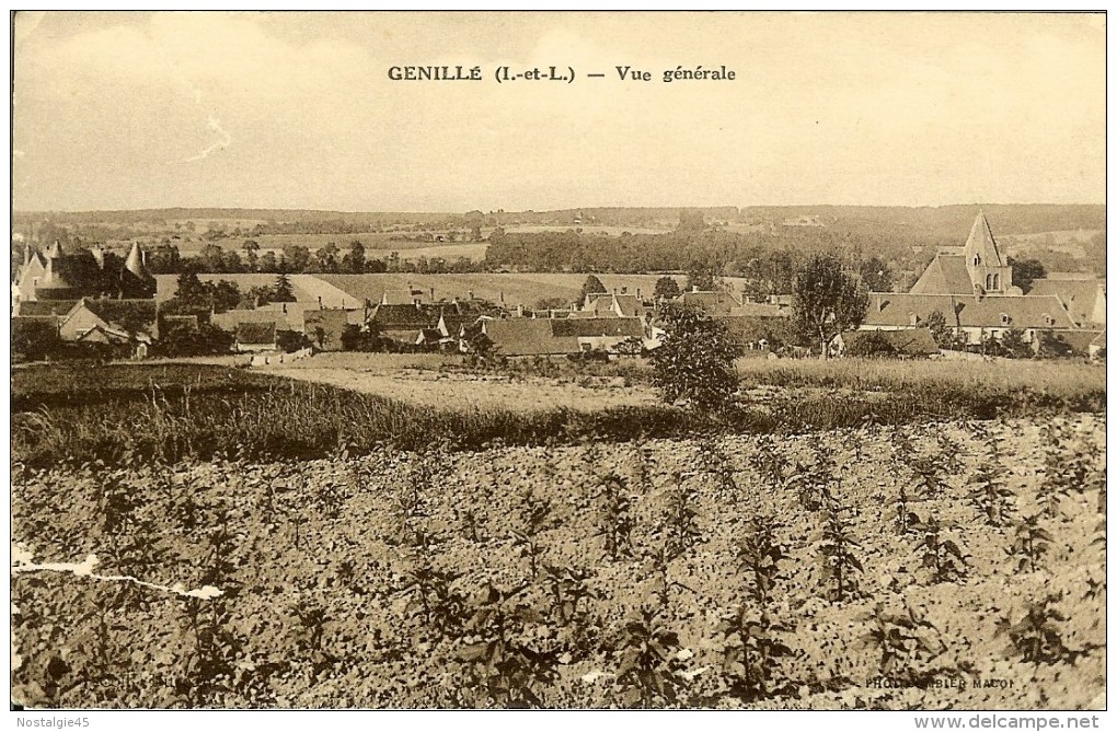 Photo Combier- Genillé - Vue Generale - Genillé