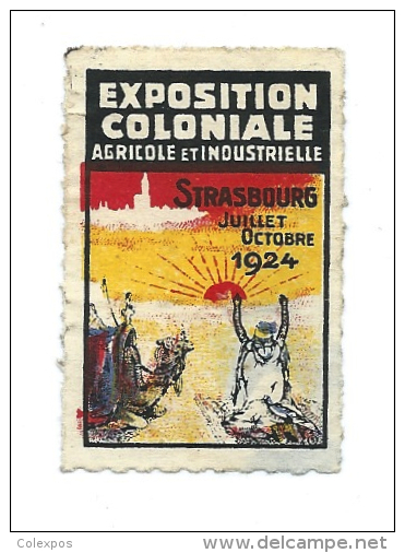 Strasbourg Vignette Exposition Coloniale Strasbourg 1924 Dromadaire Sahara Soleil   Bien Ss Gomme - Autres & Non Classés