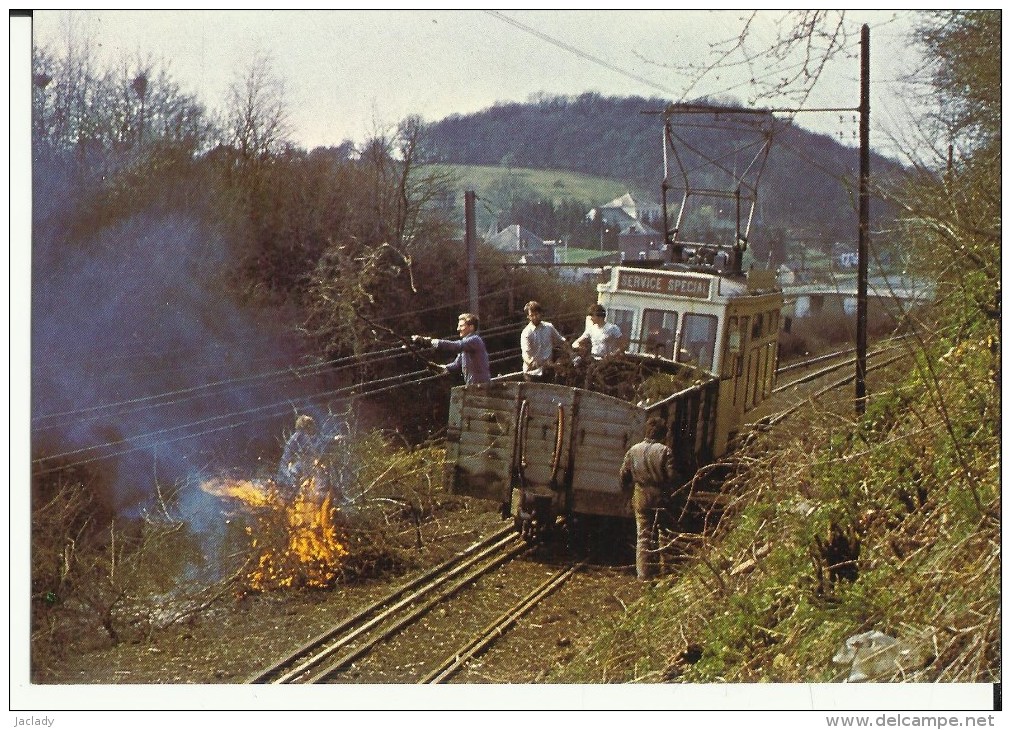 Tramway Historique Lobbes - Thuin -- L´équipe Bénévole Est De Corvée.  (2 Scans) - Lobbes