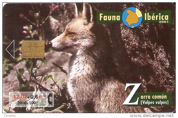 B-096 TARJETA DEL ZORRO COMUN DE LA FAUNA IBERICA  (FOX) - Basisuitgaven