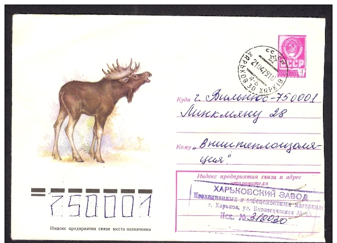 Wild Nature Fauna Deer Elk Moose  On Russia Russie  USSR Used Cover Issued 08 01 1979 Postal Stationary  URSS Entier - Andere & Zonder Classificatie