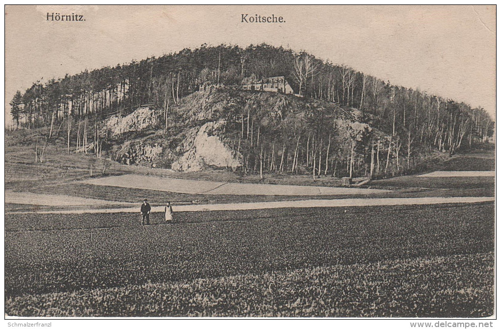 AK Zittau Hörnitz Bergrestaurant Koitzsche Koitsche Gasthaus Baude Bei Hainewalde Mittelherwigsdorf Bertsdorf Bahnpost - Bertsdorf-Hörnitz