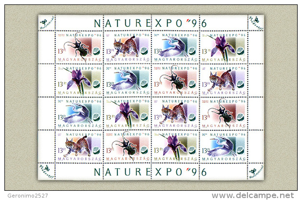 HUNGARY 1996 FAUNA Animals LYNX BEETLE BIRD FLOWER - Fine Sheet MNH - Nuevos