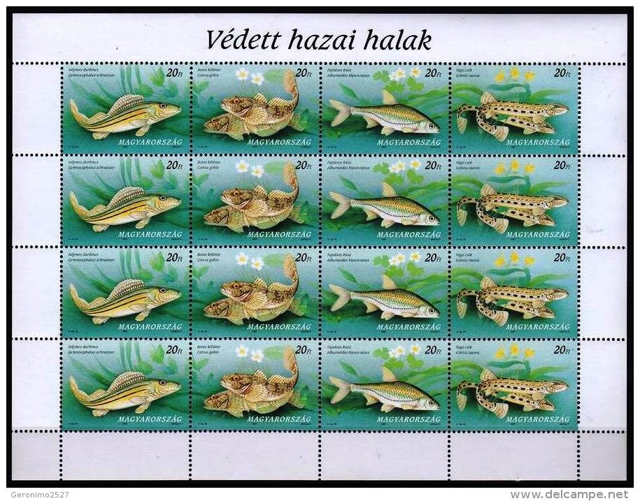 HUNGARY 1997 FAUNA Animals FISHES - Fine Sheet MNH - Nuevos