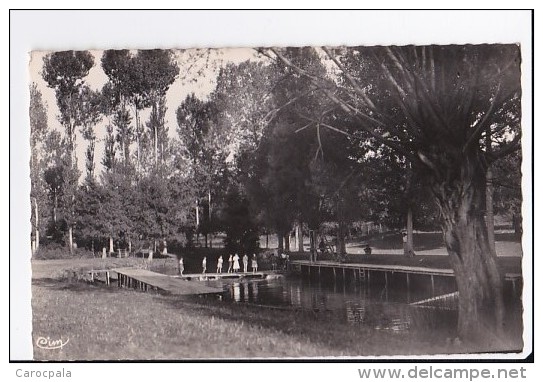 Carte 1950 BRULON /  La Piscine - Brulon