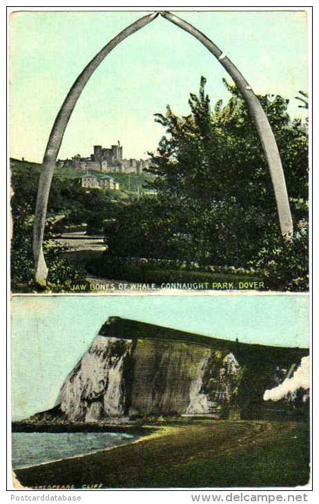 Jaw Bones Of Whale, Connaught Park, Dover - Shakespeare Cliff - Dover