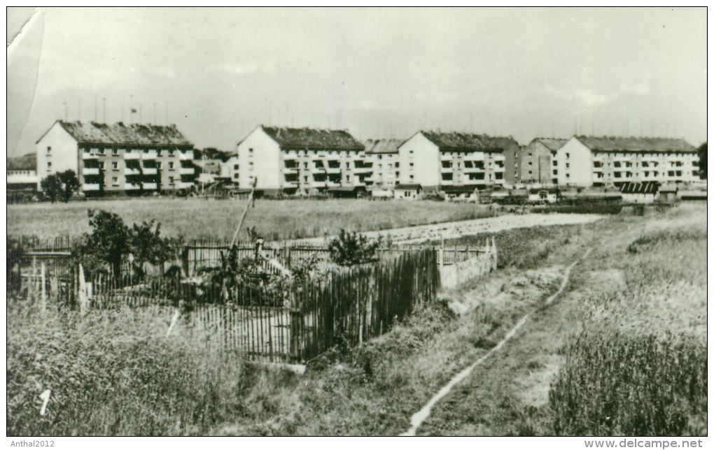 Osterburg Altmark MB Sw AWG Siedlung Wohnblock Seehäuser Strasse Geschäft 1973 - Osterburg