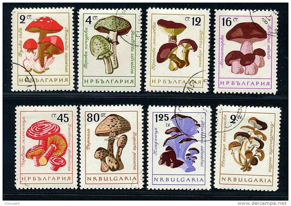 Bulgarie Ob N° 1099 à 1106 - Champignons (lot 3) (24 P11) - Usados