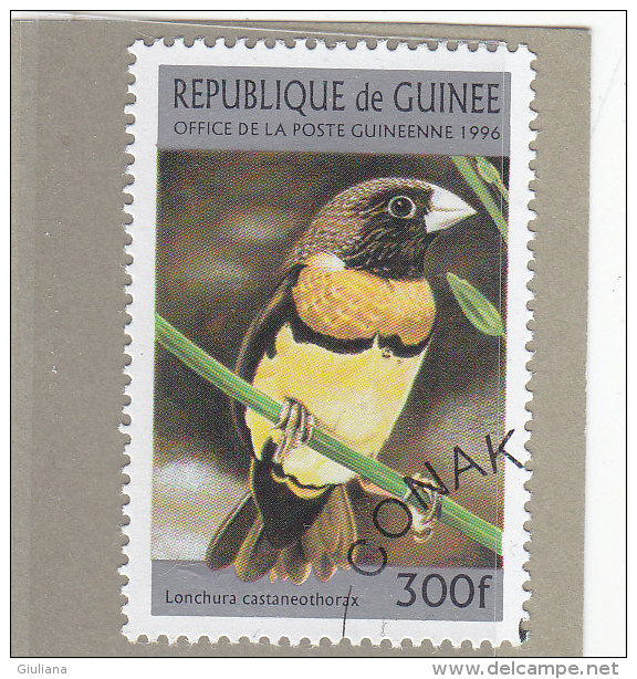 Rep. Guinea 1996  -  Yt  1077 Used  Uccelli - Moineaux