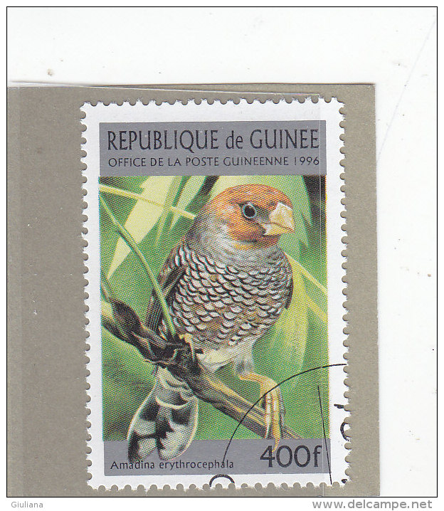 Rep. Guinea 1996  -  Yt  1078 Used  Uccelli - Moineaux