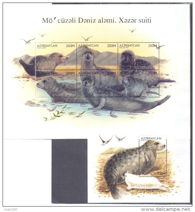 1997. Azerbaijan, The Caspian Seal, Sheetlet +  S/s,  Mint/** - Azerbaïjan