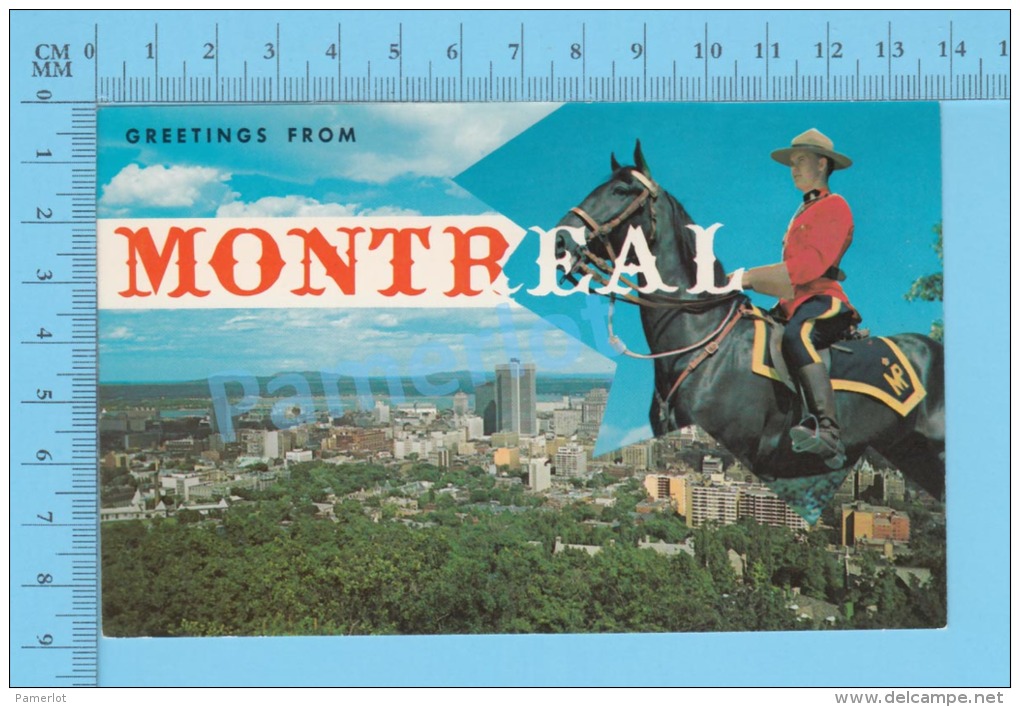 Montreal Quebec  ( Greeting From Montreal  RCMP Police Horse )recto/Verso - Police - Gendarmerie