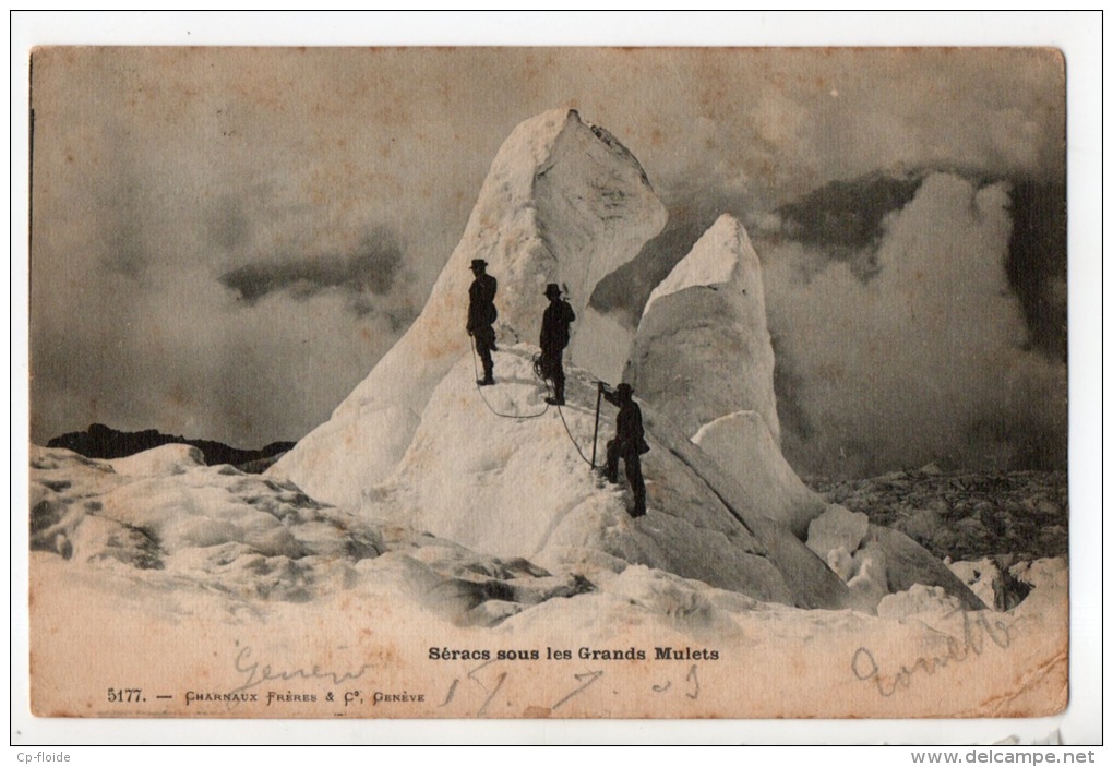 ALPINISTES . SÉRACS SOUS LES GRANDS MULETS  - Réf. N°8351 - - Alpinisme