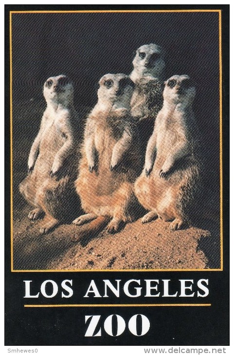 Postcard - Slender Tailed Meerkats At Greater Los Angeles Zoo. LAZ8-46 - Other & Unclassified