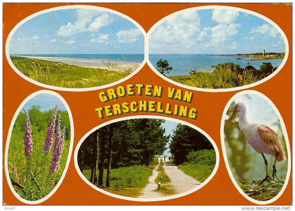 CP Groeten Van TERSCHELLING . - Terschelling