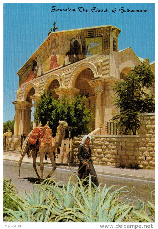 JERUSALEM      THE CHURCH  OF  GETHSEMANE          (VIAGGIATA) - Non Classificati