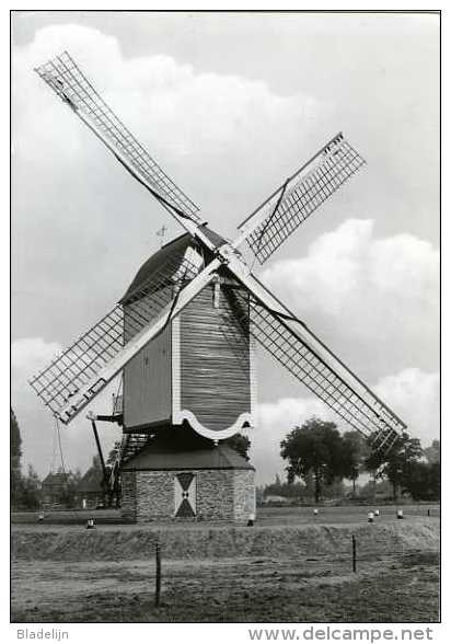 GEFFEN Bij Oss (Noord-Brabant) - Molen/moulin - Standerdmolen ´De Vlijt´ Omstreeks 1980 Na Verplaatsing En Restauratie - Oss