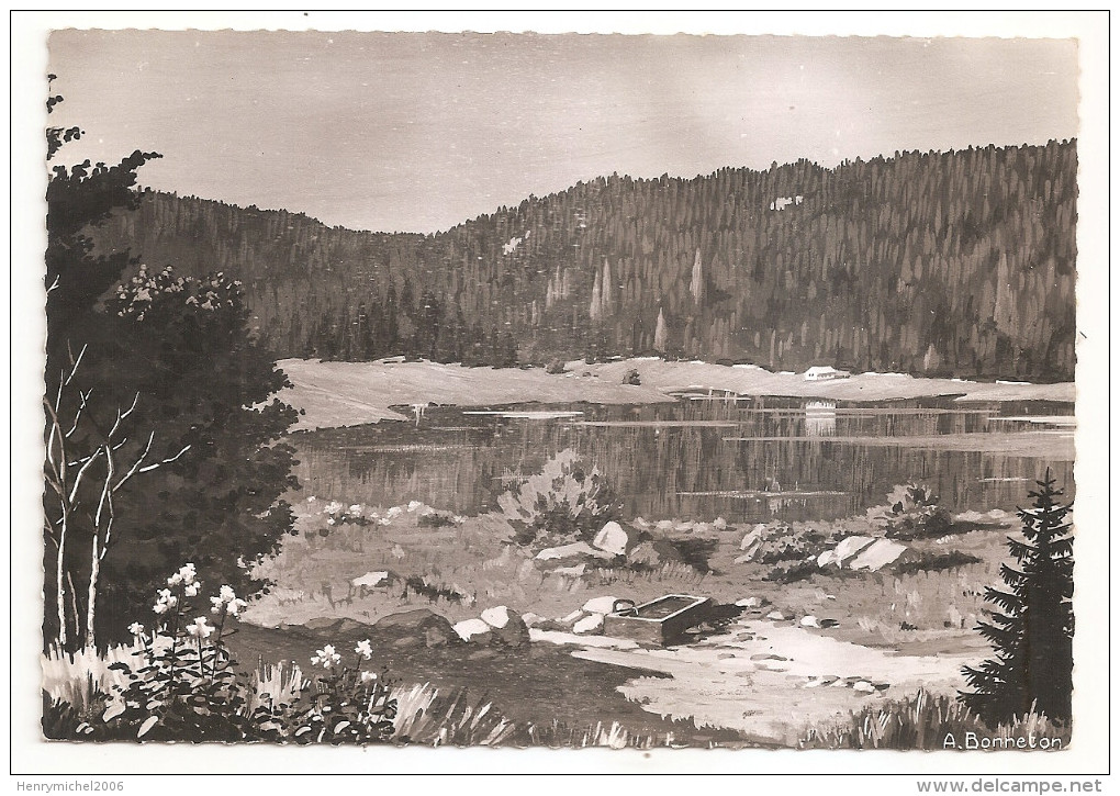 Ain - 01 - Env D'oyonnax , Le Lac Genin Tableau De Bonneton - Oyonnax