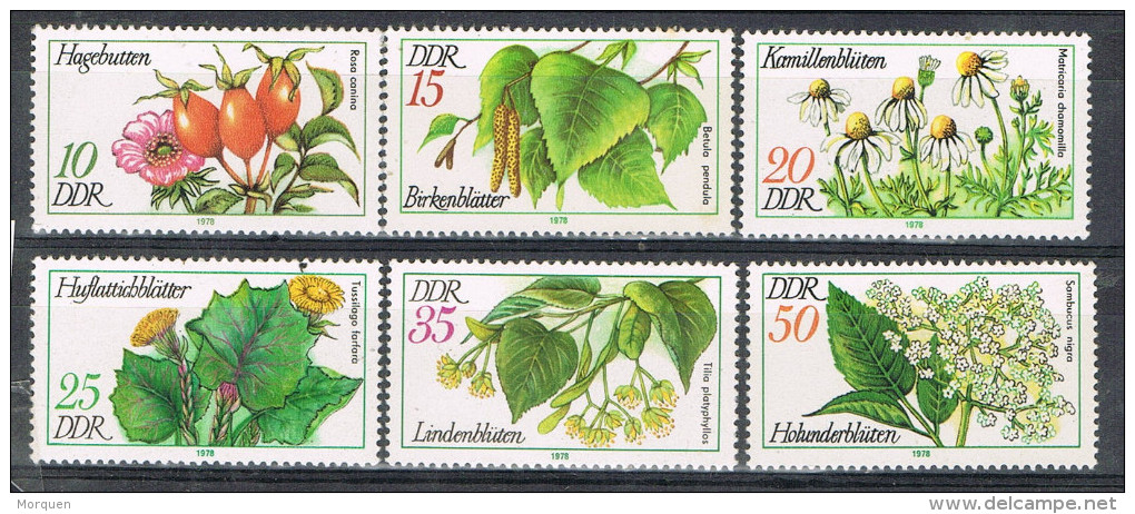 R 921. Serie Alemania DDR, Plantas Medicinales  1978, Num 1875-1880 ** - Plantas Medicinales