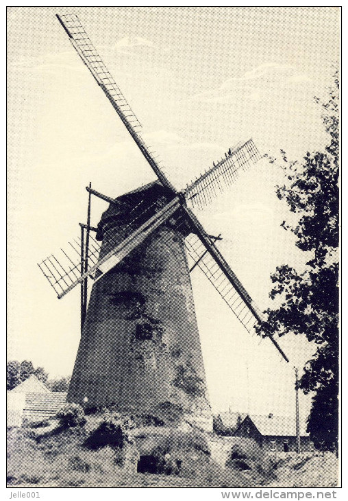 Eksel Stenen Windmolen - Hechtel-Eksel