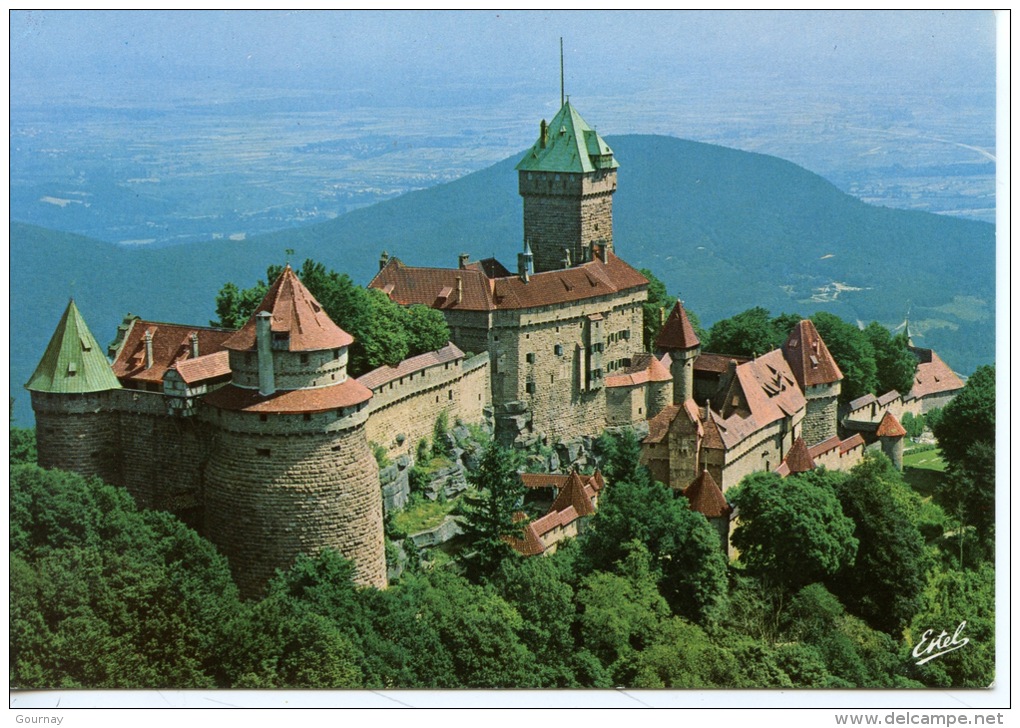 Strasbourg - Vue Aérienne De La Cathédrale Et De La Ville N°30137 éd Estel - Strasbourg