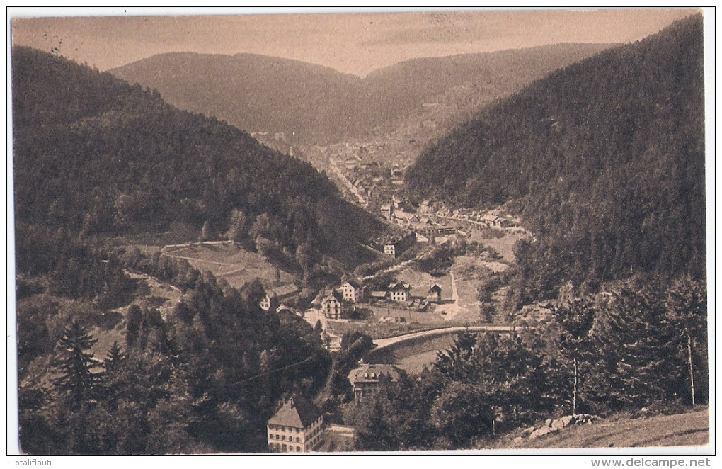 Blick Auf TRIBERG Vom Hohnen 14.9.1921 Gelaufen Infla Frankatur - Triberg