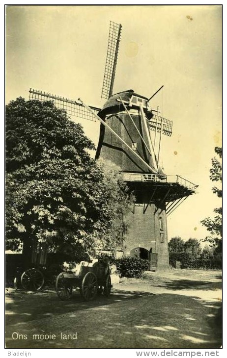 RIJSSEN (Overijssel) - Mill/moulin - Historische Opname Van De Molen Van Slaghekke Omstreeks 1930 Voor Onttakeling - Rijssen