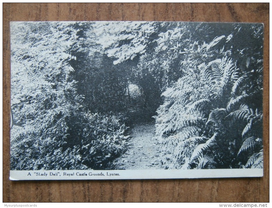 40306 POSTCARD: DEVON: Lynton, A "Shady Dell", Royal Castle Grounds. - Lynmouth & Lynton