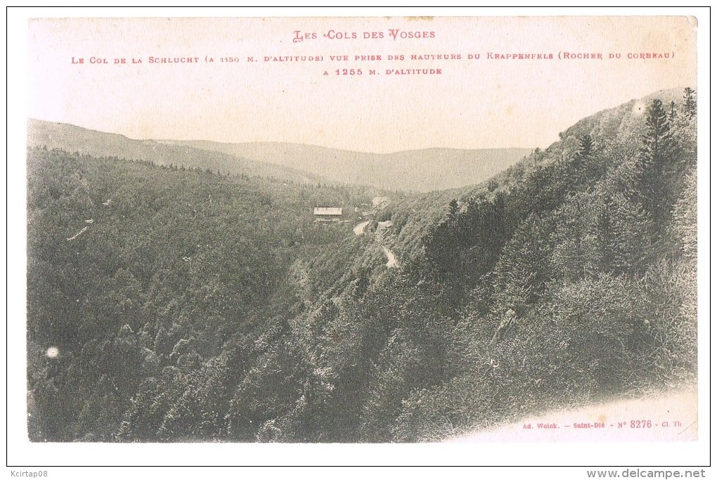 Vue Prise Du Krappenfels ( Roche Du Corbeau ) . - Autres & Non Classés