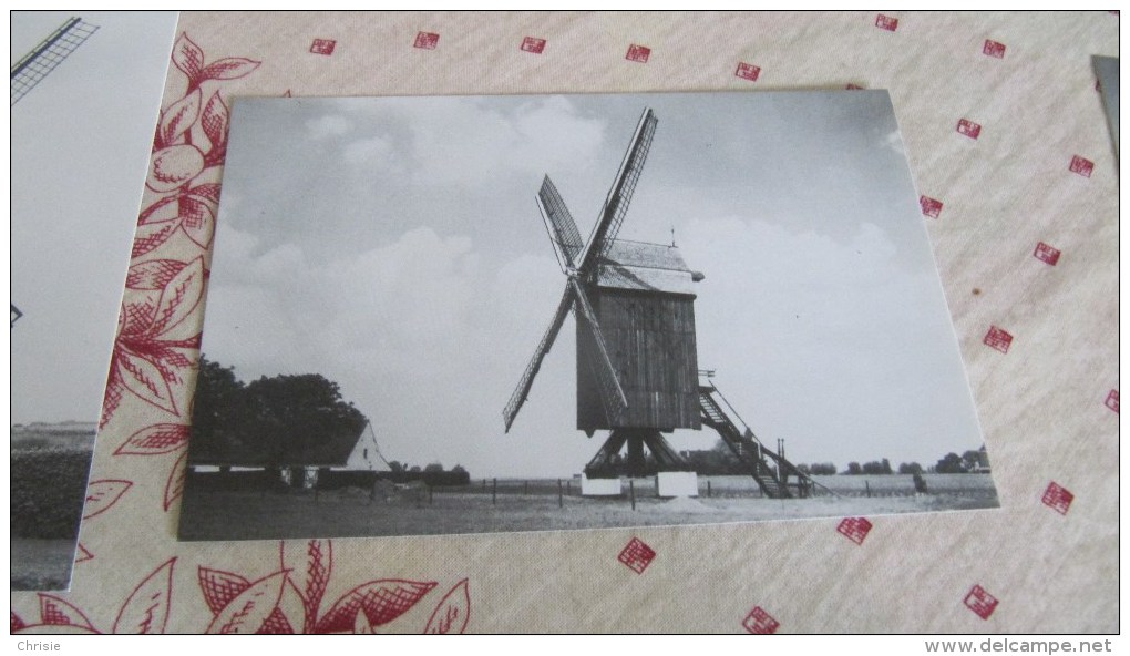 WINDMOLEN HUISE ZINGEM L1767 - Zingem