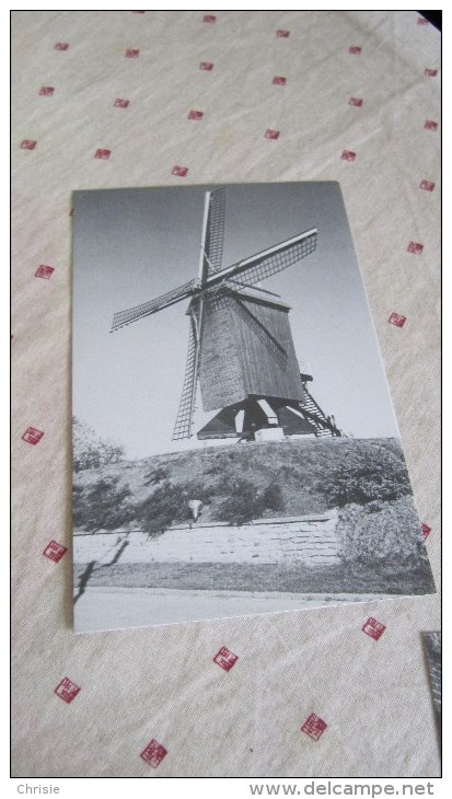 HERZELE WINDMOLEN L1768 - Zingem