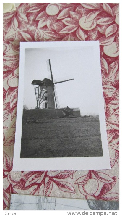 FOTO WINDMOLEN BAASRODE L1769 - Dendermonde