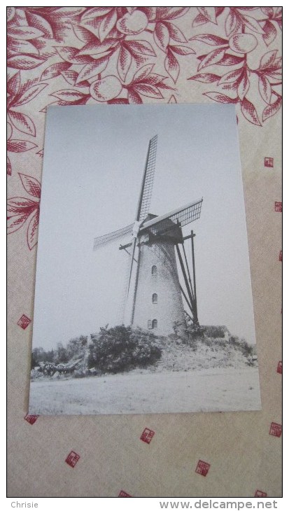 VINDERHOUTE LOVENDEGEM WINDMOLEN L1774 - Lovendegem