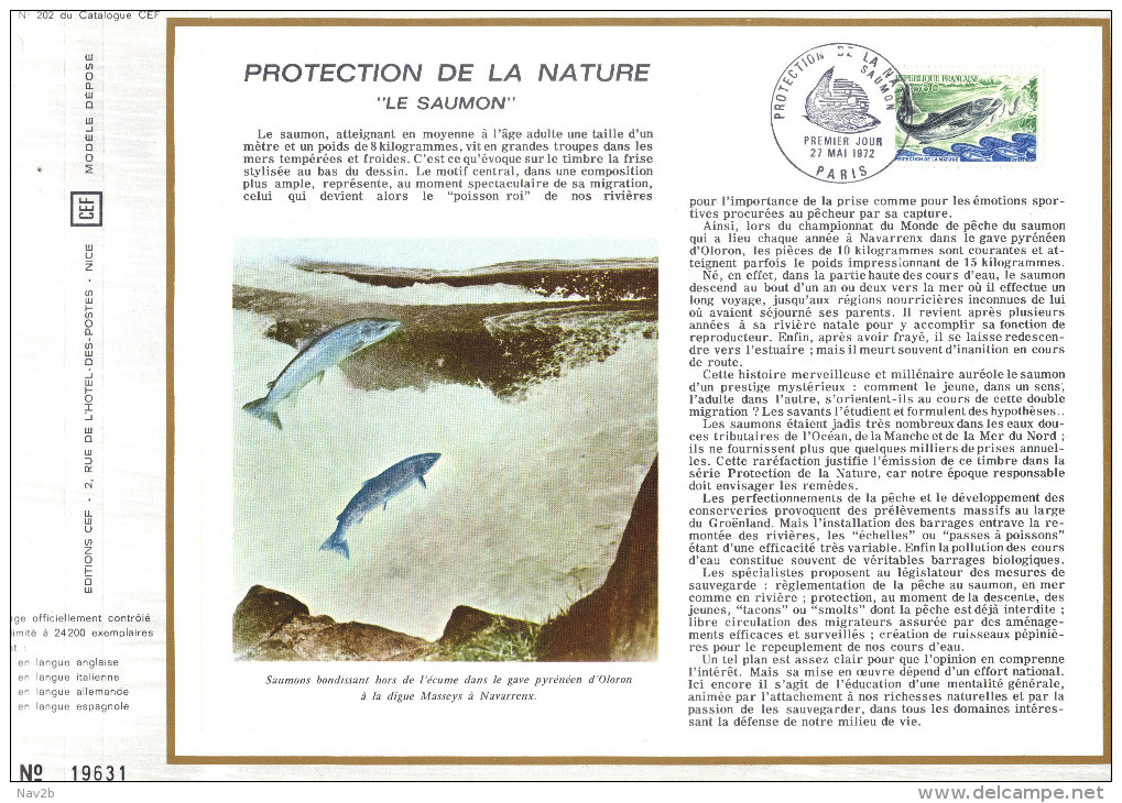 Sur Feuillet CEF , FDC,1972,  Protection De La Nature  " LE SAUMON " . - Poissons