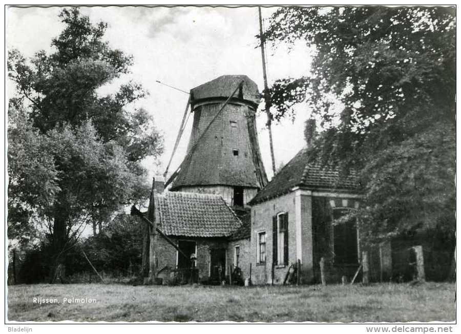 RIJSSEN (Overijssel) - Molen/moulin - Olie- En Pelmolen Ter Horst In Vervallen Toestand (ca. 1965). Historische Opname! - Rijssen