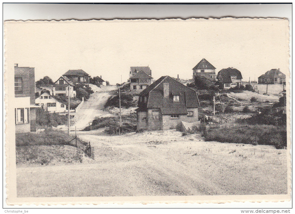 Oostduinkerke Duinpark Panorama (pk16263) - Oostduinkerke