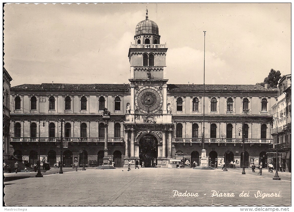 PADOVA  Fg - Padova